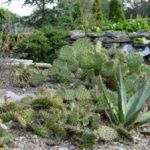 Tuin overzicht